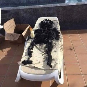 Meet your Posher, Jonathan